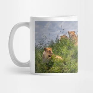 Young Lions Mug